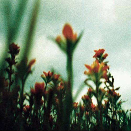 NIN: The Fragile Ipad wallpaper
