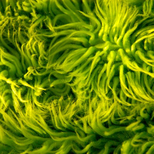 lime green shag rug texture by Abby Lanes Ipad wallpaper