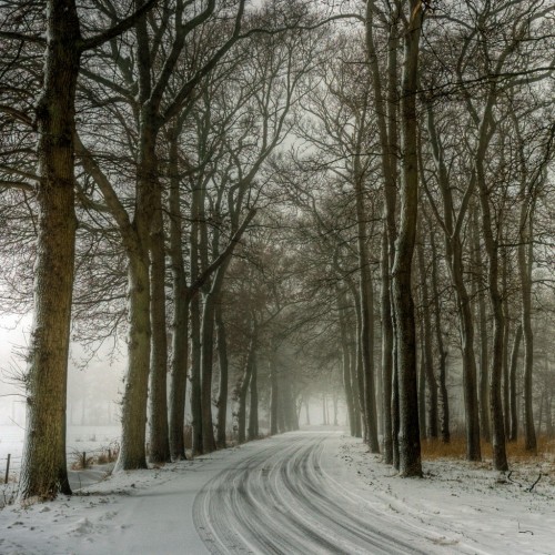 Winter 2010 by Bert K Ipad wallpaper