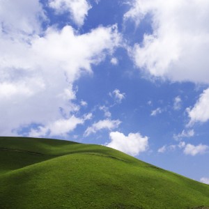chshii - green grass sky ipad wallpaper