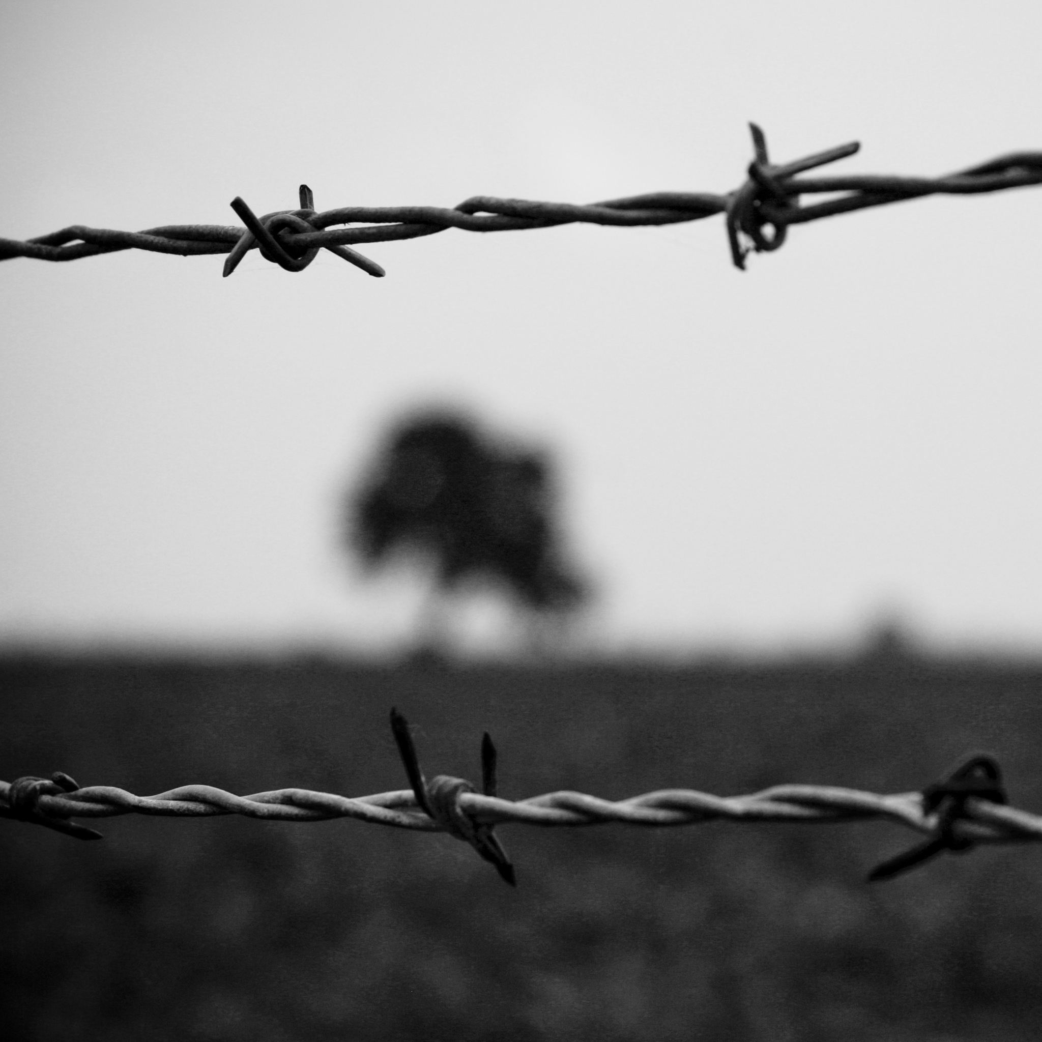 barbed wire fence background