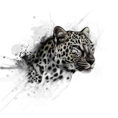 Leopard by drfranken Ipad wallpaper