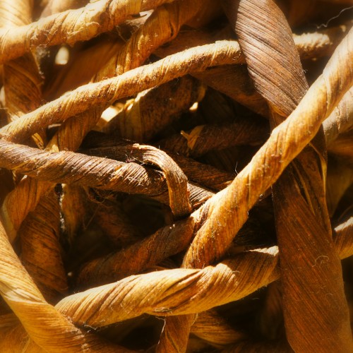 Tangle by duckfarm Ipad wallpaper