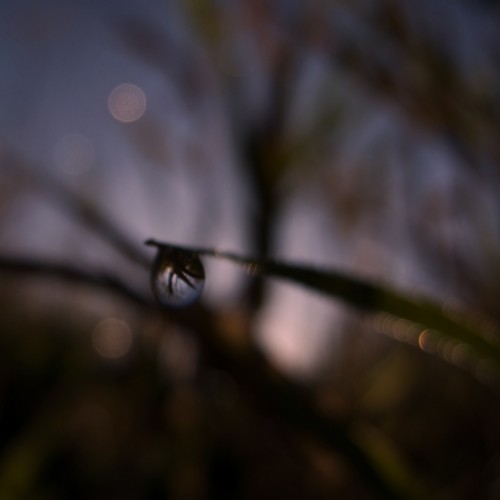 Blurry water drop at the dawn iPad Wallpaper