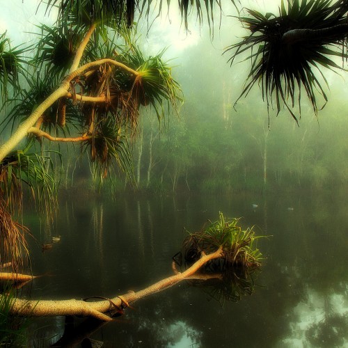 Eternal Silence by Garry Ipad wallpaper