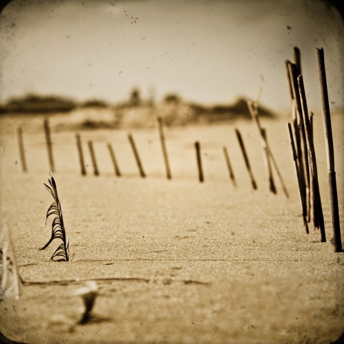 arenophile rituals by horizontal integration Ipad wallpaper