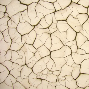 jared - mud crack texture ipad wallpaper