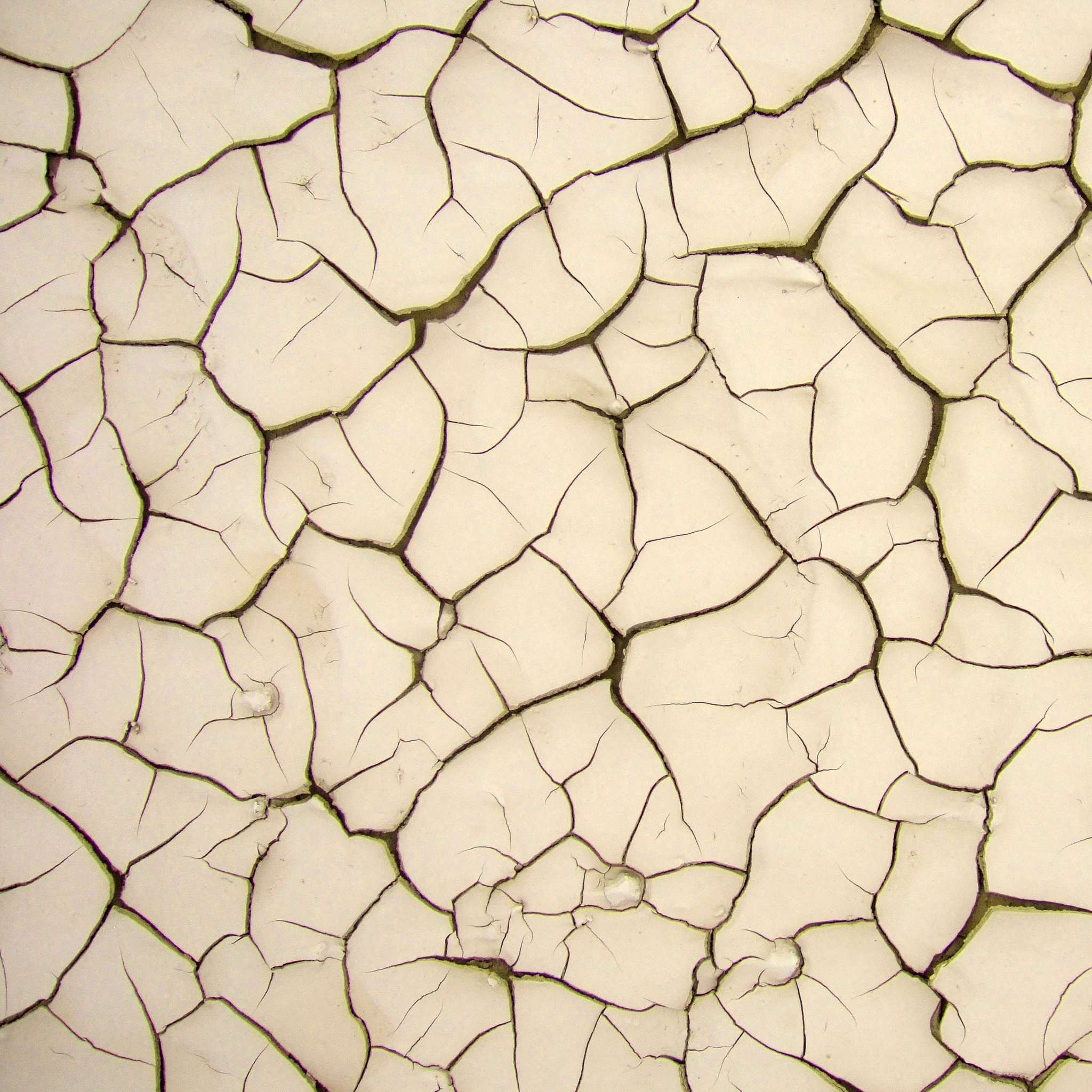 jared - mud crack texture ipad wallpaper