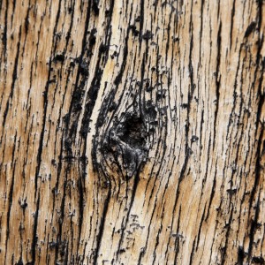 jared - wood texture ipad wallpaper
