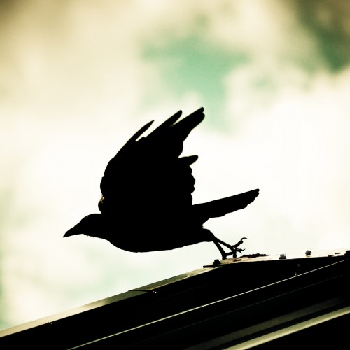 Departure by Josh Libatique Ipad wallpaper