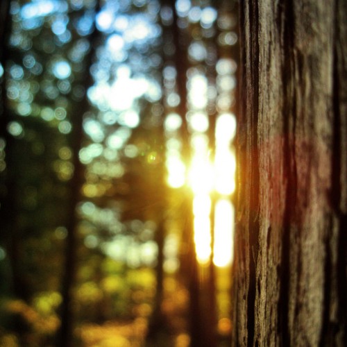 Summer sets and Autumn colors fade in by JSFauxtaugraphy Ipad wallpaper
