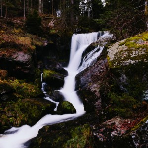 littlevisuals.co - small forest waterfall ipad wallpaper