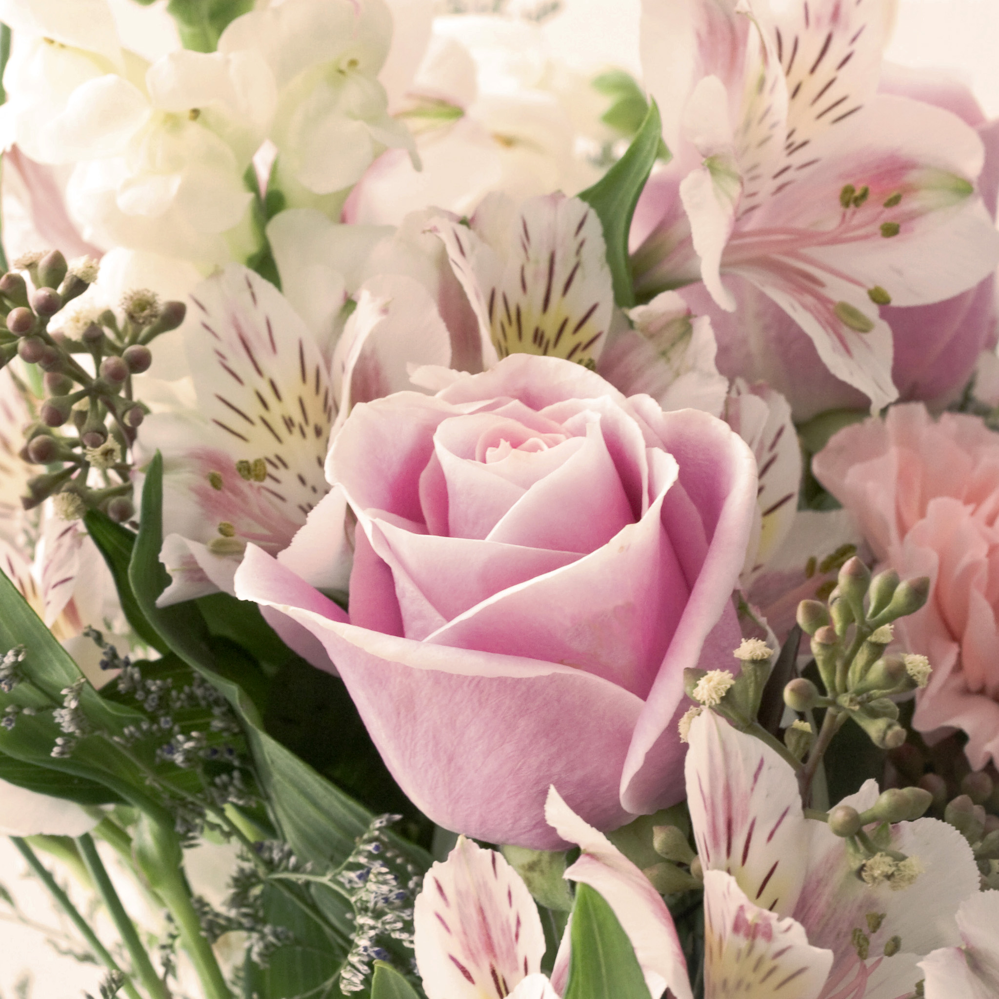 liz west - pastel rose bouquet ipad wallpaper