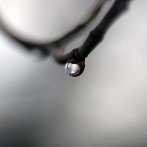 Water Drop by Marshed Ipad wallpaper