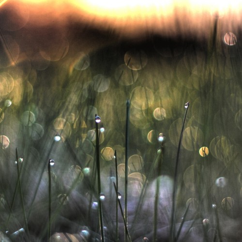 Say you will by Brian Wolfe Ipad wallpaper
