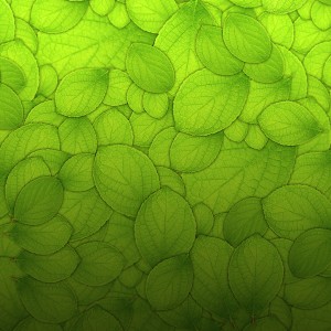 mrforscreen - green leaves texture ipad wallpaper