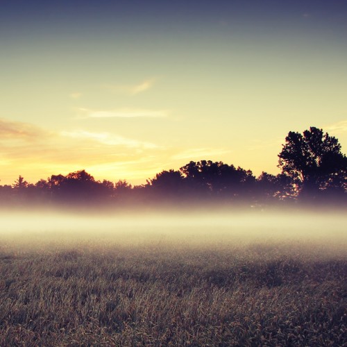 Morning Mist II by Notmiown Ipad wallpaper