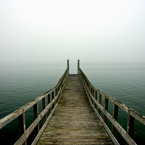Misty morning by Piotr Zurek Ipad wallpaper