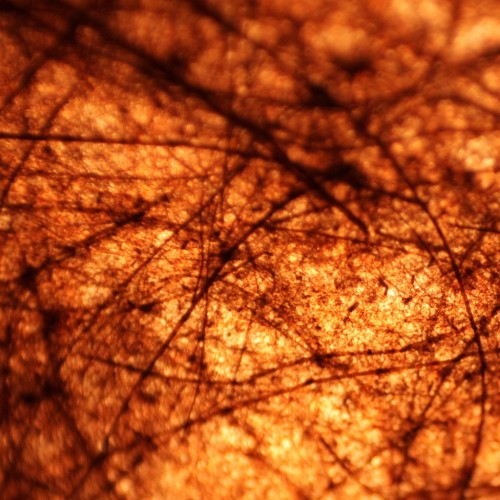 abstract-macro-gambiarra by Ricardo Scholz Ipad wallpaper