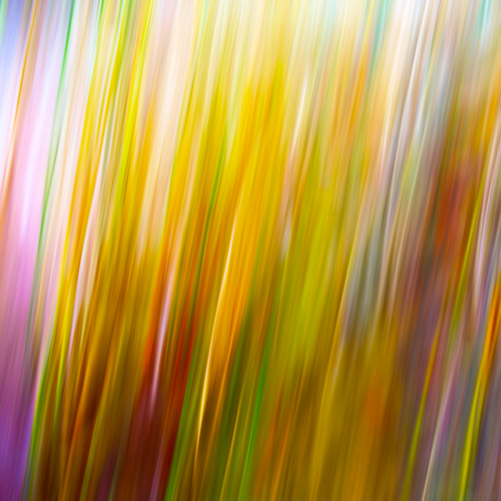BLUR の掲示板投稿写真＆画像