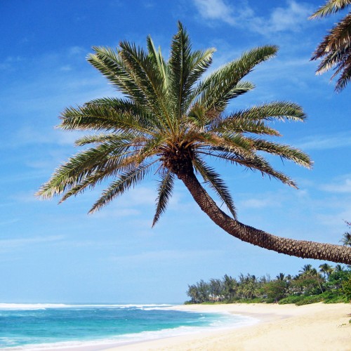 north shore by Ryan Kozie Ipad wallpaper