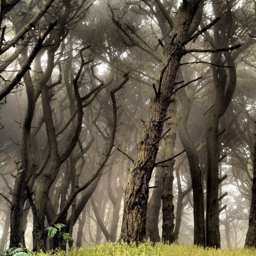 At Lands End by Sharon Mollerus Ipad wallpaper