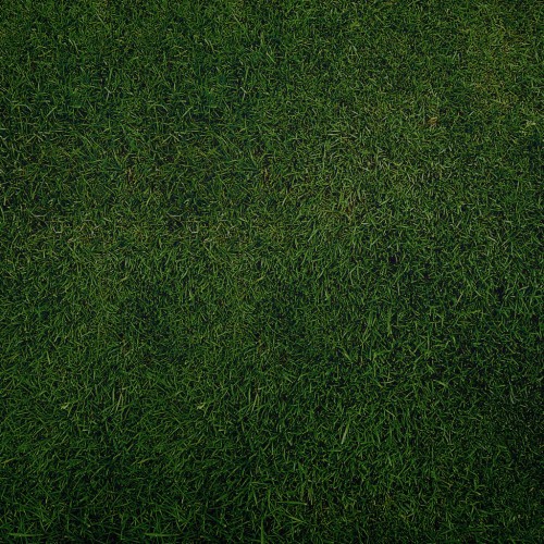 Plain Grass by sniperyu Ipad wallpaper