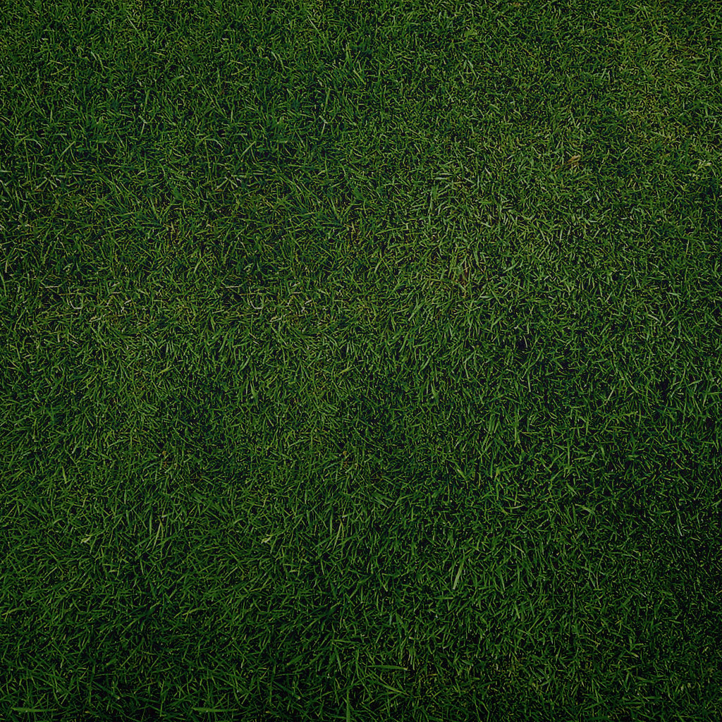 create seamless grass texture