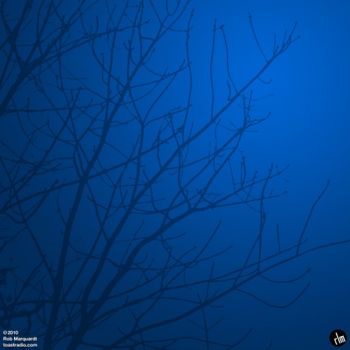 Branch silhouette by someToast Ipad wallpaper