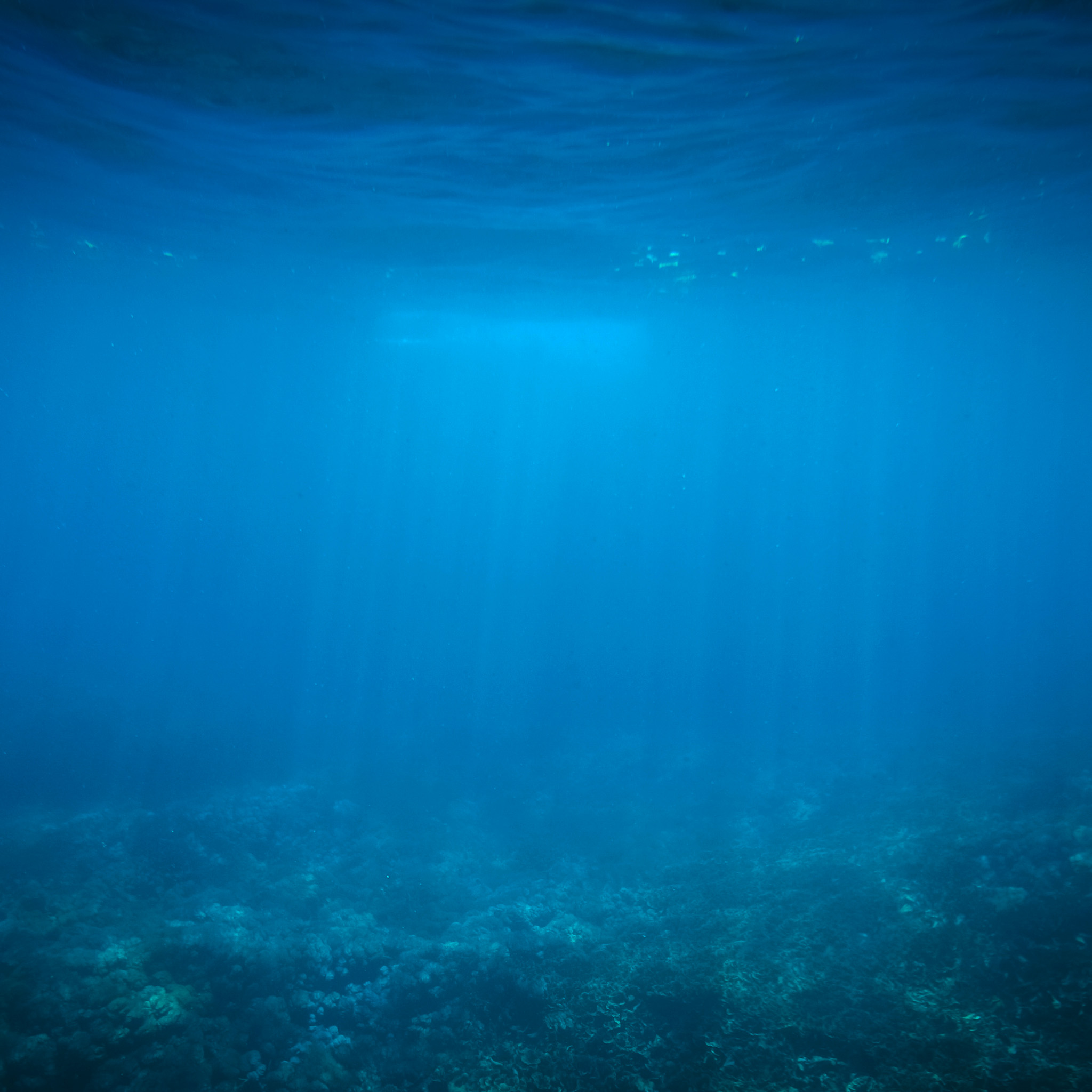 stefanus martanto - underwater blue ipad wallpaper