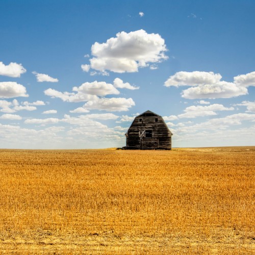 Summer field and old barn iPad Wallpaper