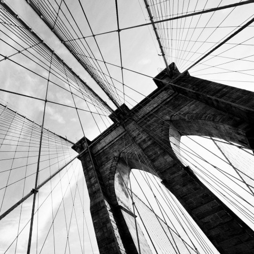 The Intricate Web by Thomas Hawk Ipad wallpaper
