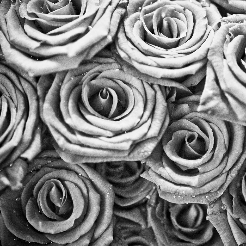 Spooky Branches iPad wallpaper
