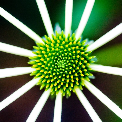 While the Moon Does Its Division by Thomas Hawk Ipad wallpaper