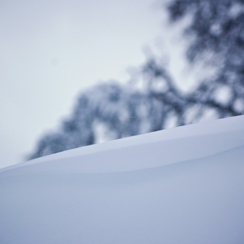 Old Wallpaper Pattern iPad wallpaper