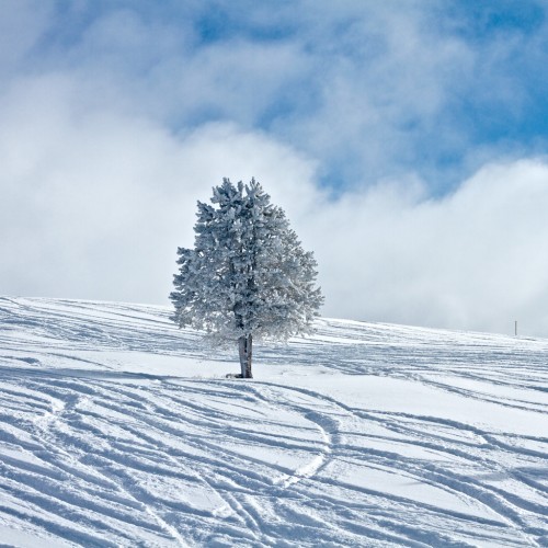 Winter by Zach Dischner Ipad wallpaper